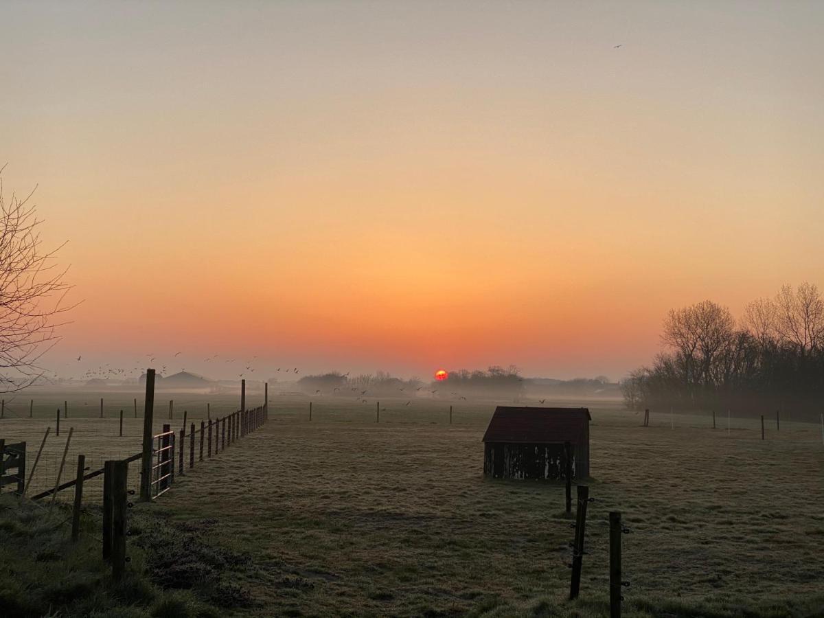Logies Boszicht Texel Bed & Breakfast De Koog  Exterior photo